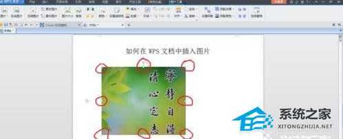 WPS文字导入图片后排版混乱怎么办？