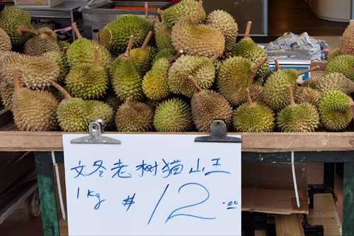 榴莲最贵的品种是什么(马来西亚的黑刺榴莲)