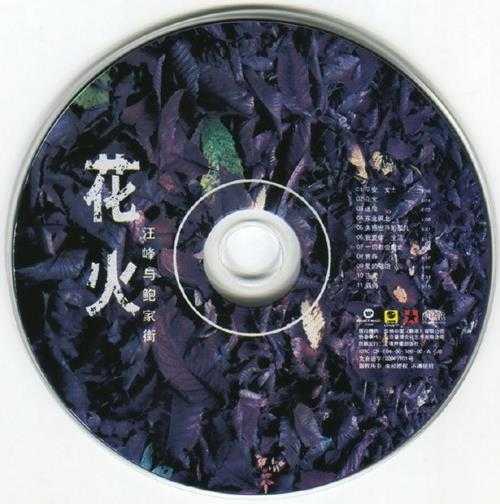 汪峰.2000-花火【华纳】【WAV+CUE】